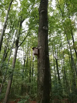 Gaasbeek + Kasteel van Gaasbeek (Lennik, België)